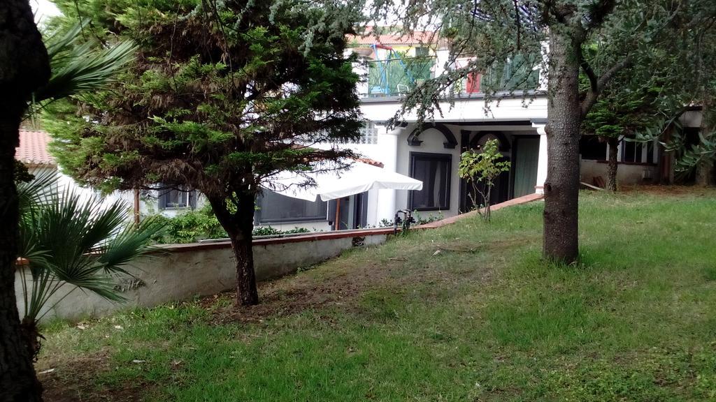 Siranita *